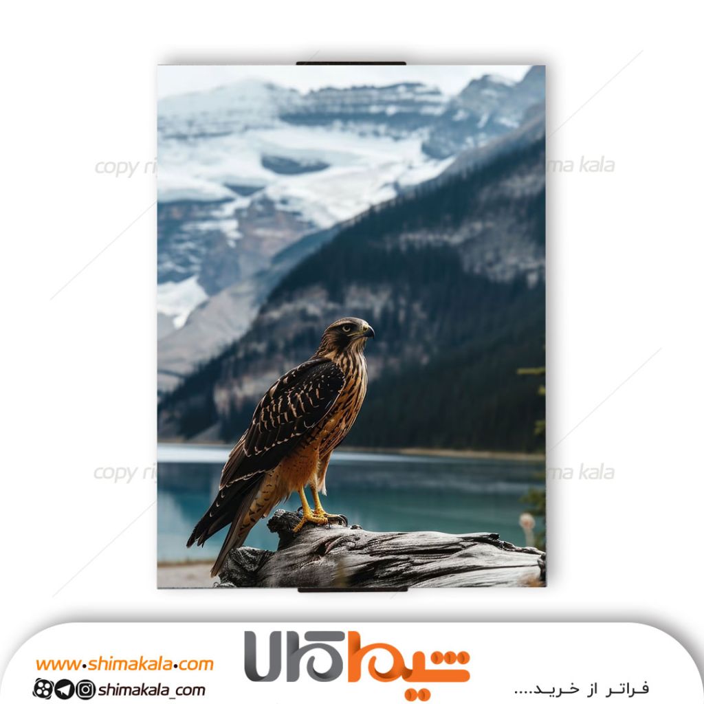 تابلو شاسی فلزی عقاب تست